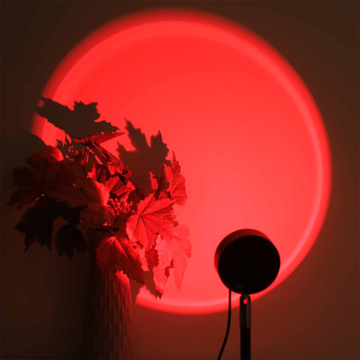 Sunset projection light remote - đánh giá và giá Photography Lighting Wall